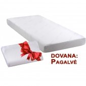 Eco memory iuiniai skirting dydi (160X200) - Informacija apie produkt 